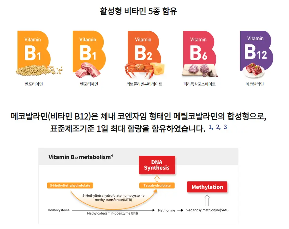 비맥스제트-활성형-비타민-5종